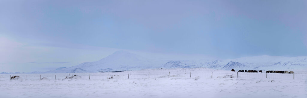 Iceland natuurfotografie van Sérgio Domingues — foto 6