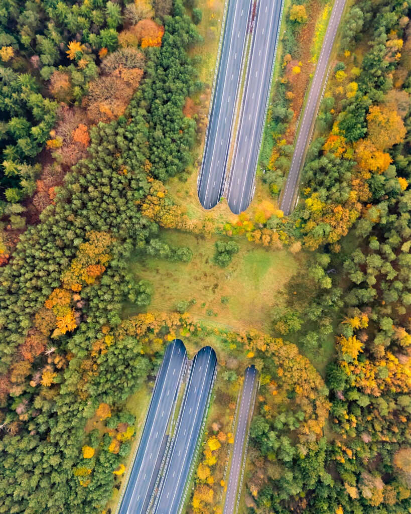 Netherlands natuurfotografie van Sérgio Domingues — foto 4
