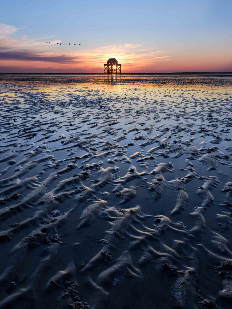 Netherlands natuurfotografie van Sérgio Domingues — foto 9