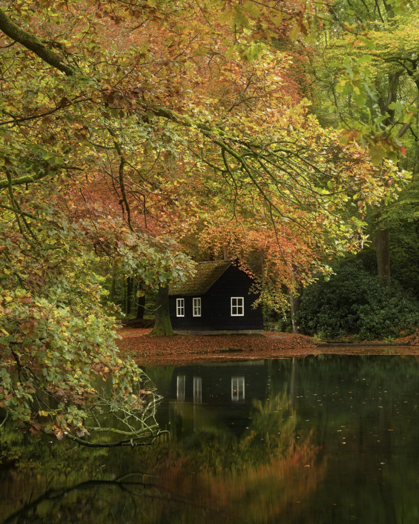 Netherlands natuurfotografie van Sérgio Domingues — foto 10
