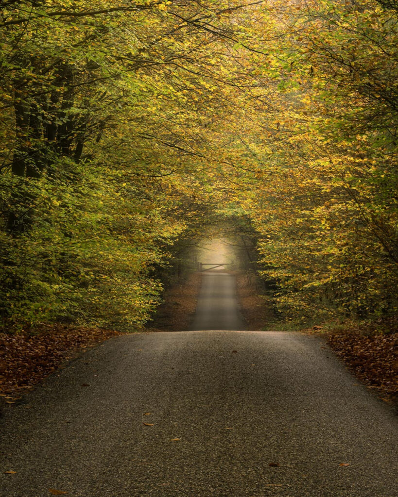 Netherlands natuurfotografie van Sérgio Domingues — foto 12