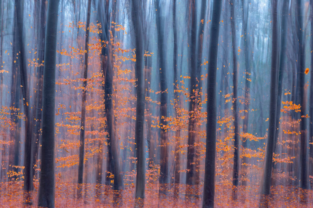 Netherlands natuurfotografie van Sérgio Domingues — foto 18