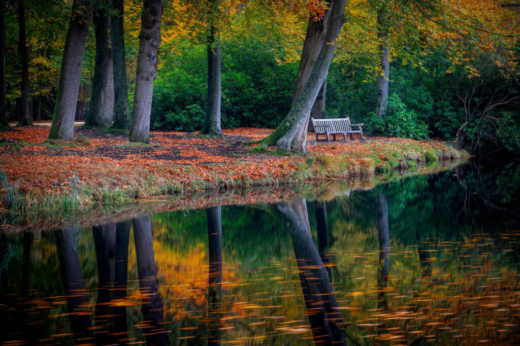 Netherlands natuurfotografie van Sérgio Domingues — foto 25