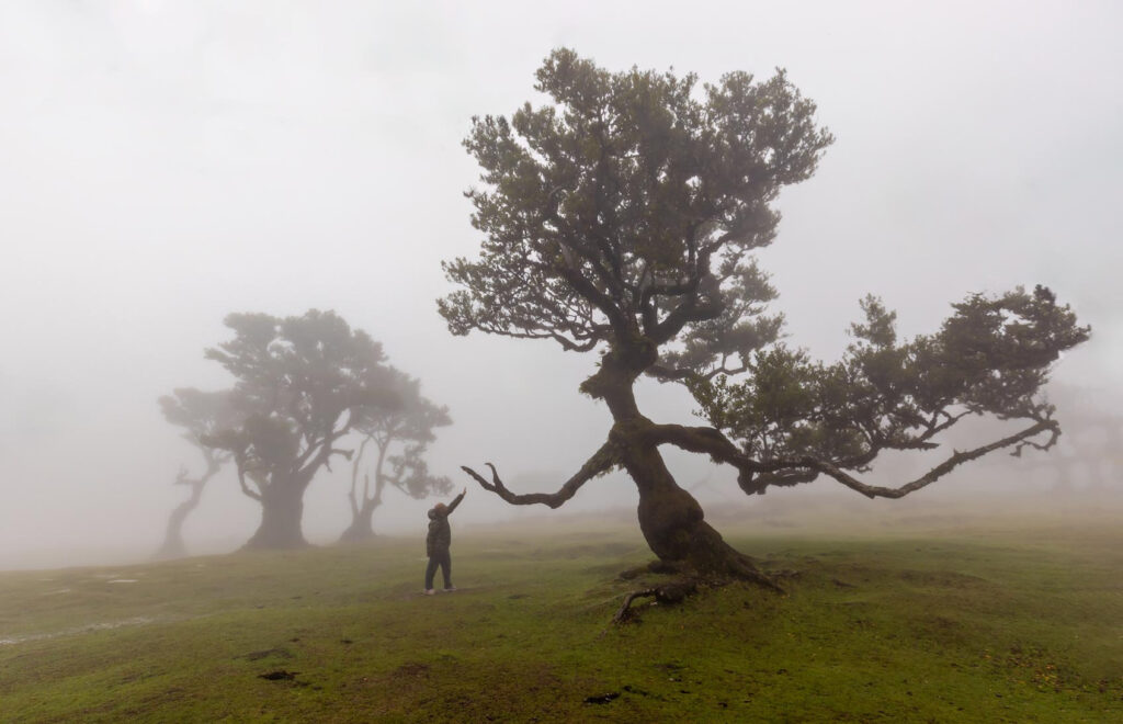 Portugal natuurfotografie van Sérgio Domingues — foto 9