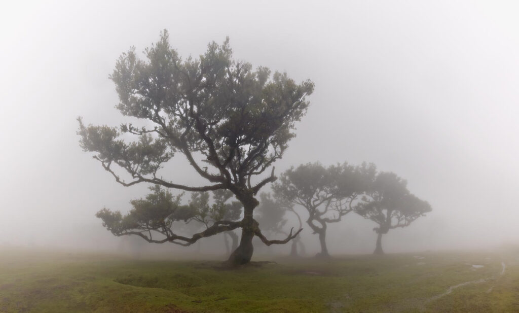 Portugal natuurfotografie van Sérgio Domingues — foto 16