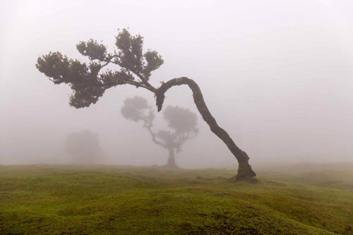 Portugal natuurfotografie van Sérgio Domingues — foto 19