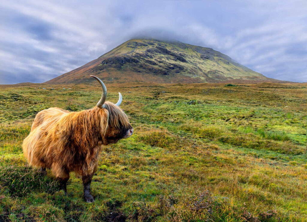 Scotland natuurfotografie van Sérgio Domingues — foto 5
