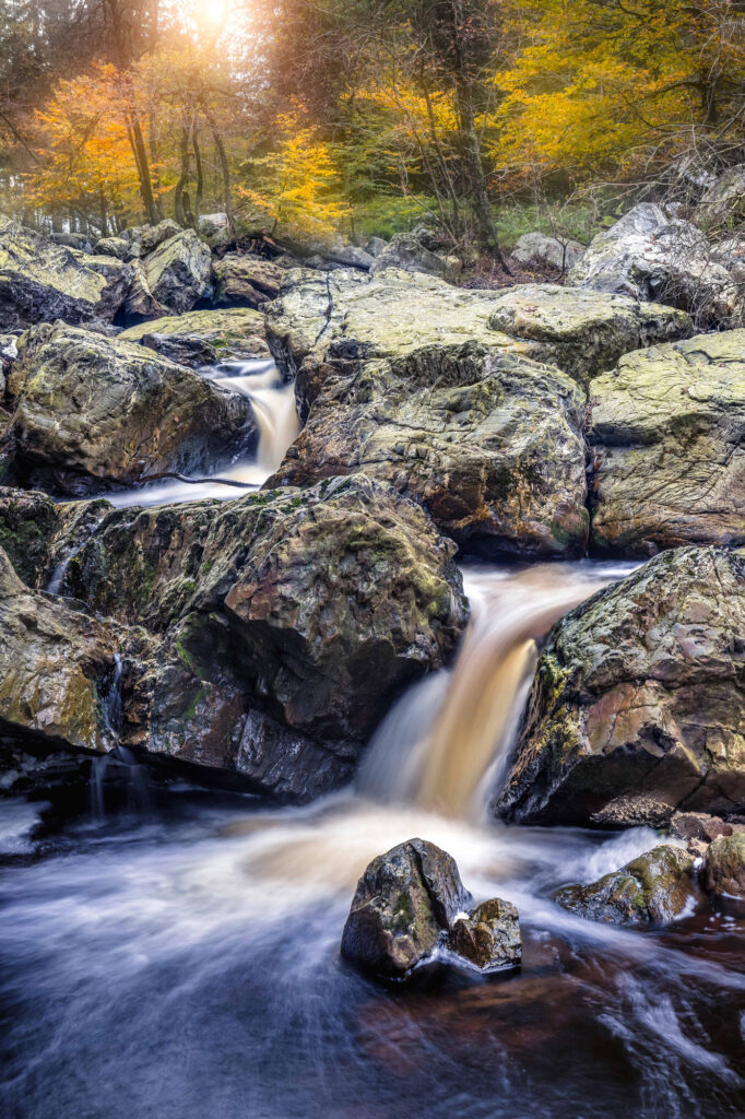 World natuurfotografie van Sérgio Domingues — foto 20